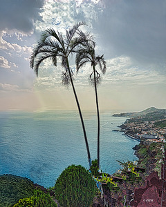 Afternoon Dream - Madeira__HOLT REZN888