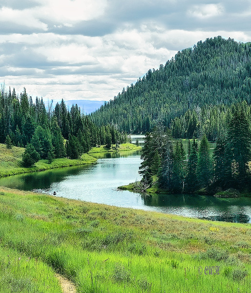 Mountain Fresh Air_REZN888_Holt  by Charles Holt  RezN888