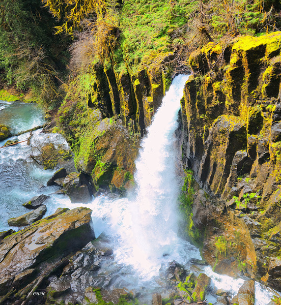 Drift Creek Falls_Holt_RezN888  Print