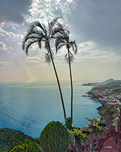Afternoon Dream - Madeira__HOLT REZN888  Print