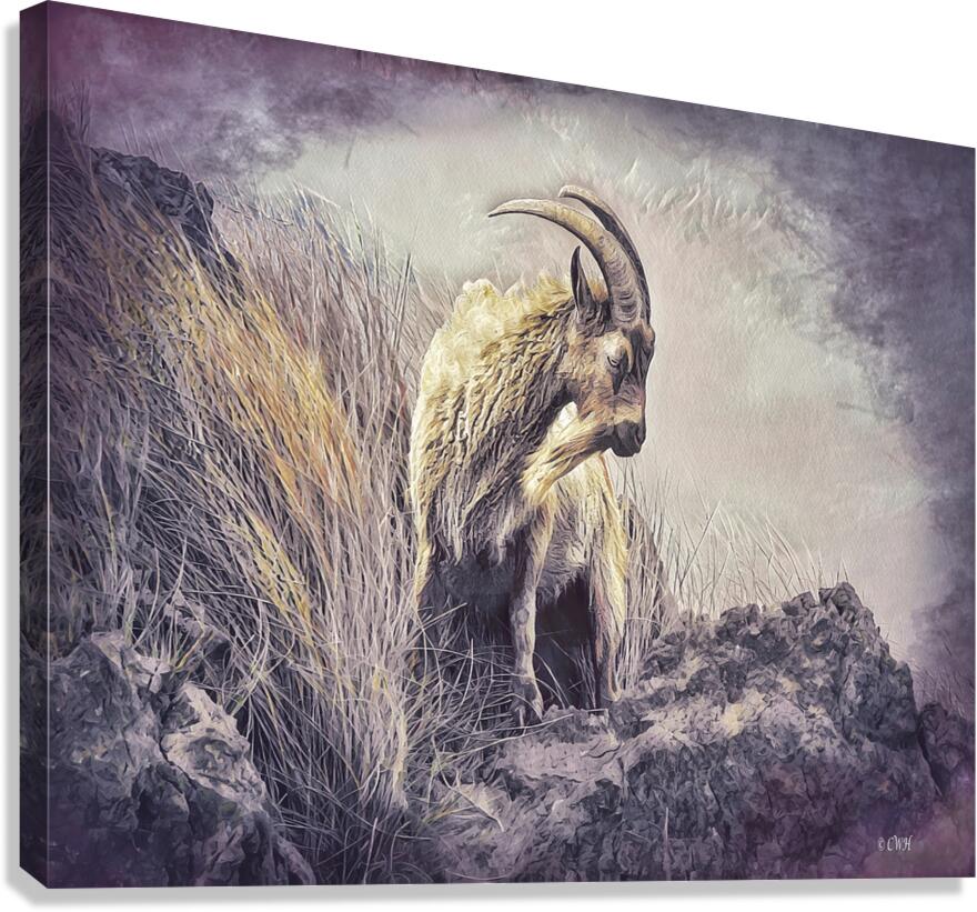 ICON of KONA Holt RezN888  Canvas Print