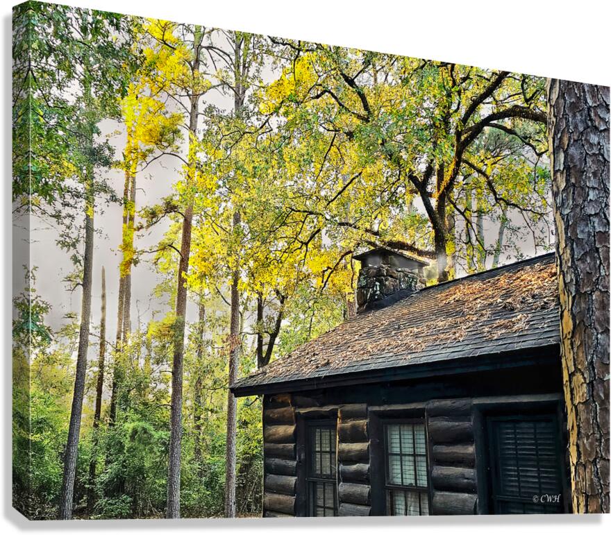 RESPITE CABIN_Holt_RezN888  Canvas Print