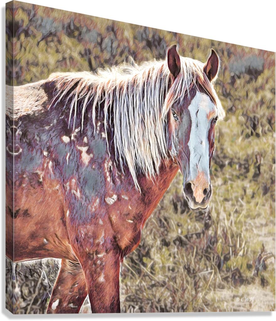WARHORSE_Holt_RezN888  Canvas Print