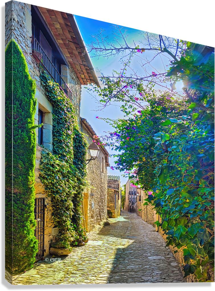 Pathways of Peratallada_Holt_RezN888  Canvas Print
