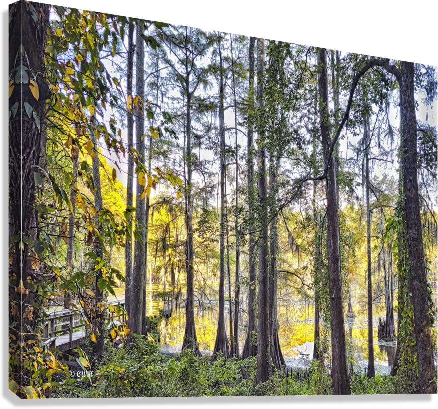 SECRET PLACE - THRU THE TREES_Holt_RezN888  Canvas Print