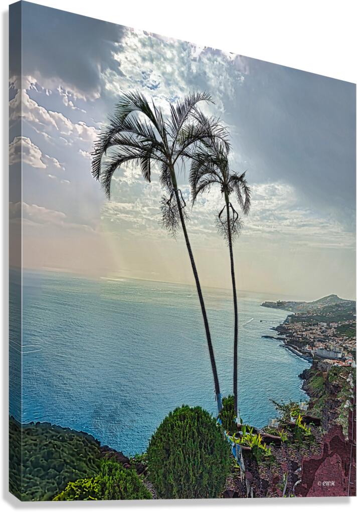 Afternoon Dream - Madeira__HOLT REZN888  Canvas Print