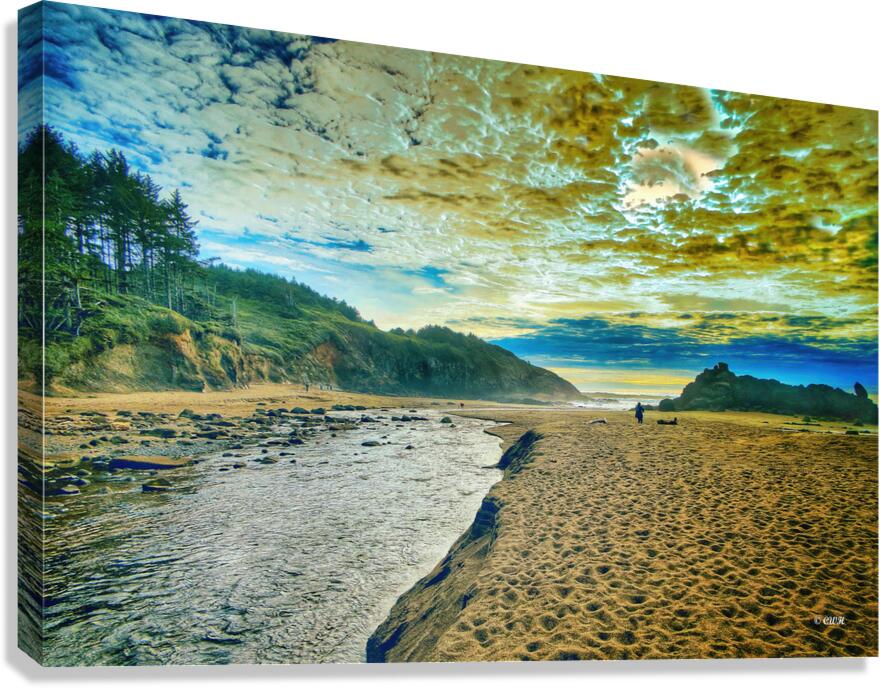 Into The Sea_Holt RezN888  Canvas Print