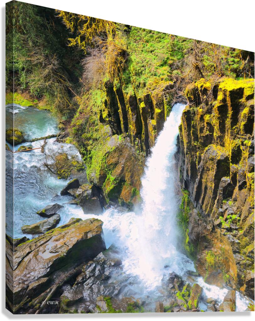 Drift Creek Falls_Holt_RezN888  Canvas Print