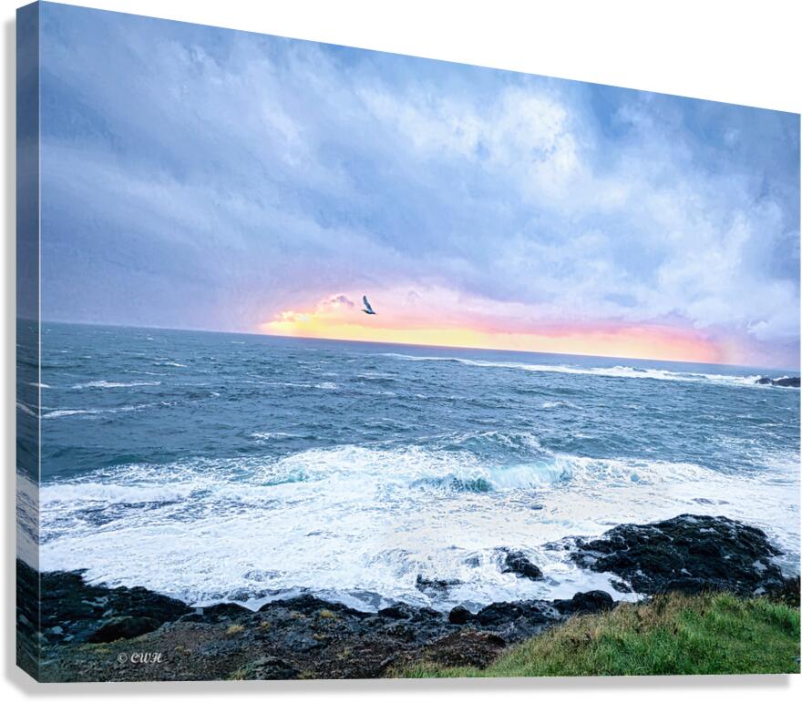 Evening Approach  Holt  RezN888  Canvas Print