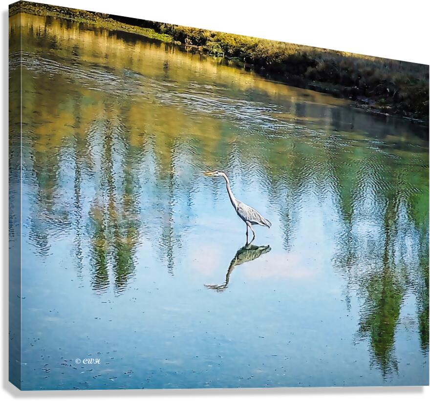 FOREST POND REFELECTIONS  Holt RezN888  Canvas Print