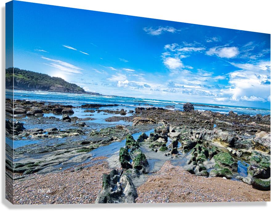 PRIMORDIAL_Holt_RezN888  Canvas Print