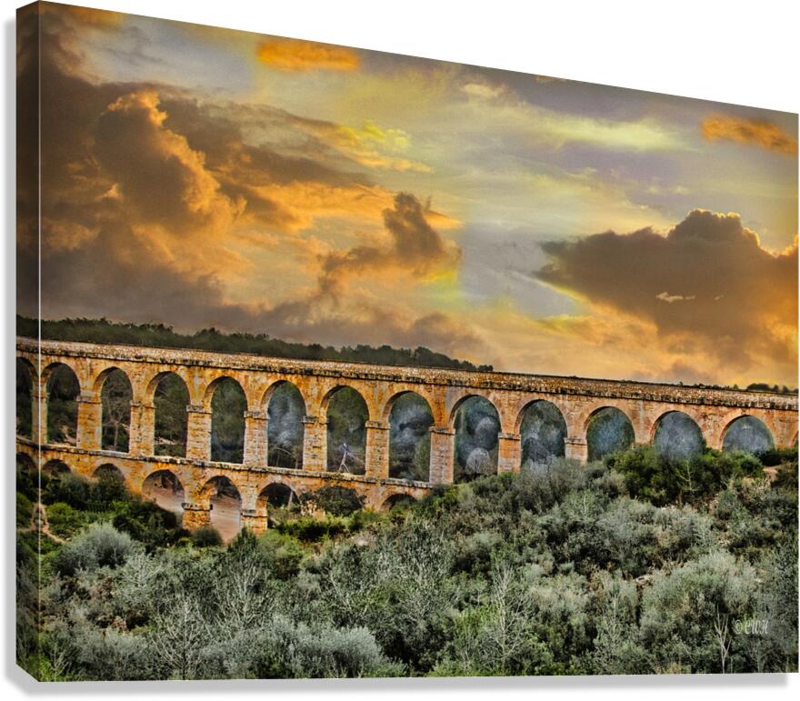 Ancient Legacy _Holt_RezN888  Canvas Print