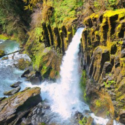 Drift Creek Falls_Holt_RezN888