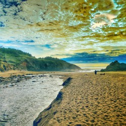 Into The Sea_Holt RezN888