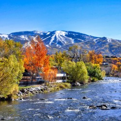 Yampa Flows_Holt_RezN888