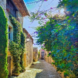 Pathways of Peratallada_Holt_RezN888