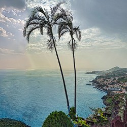 Afternoon Dream - Madeira__HOLT REZN888