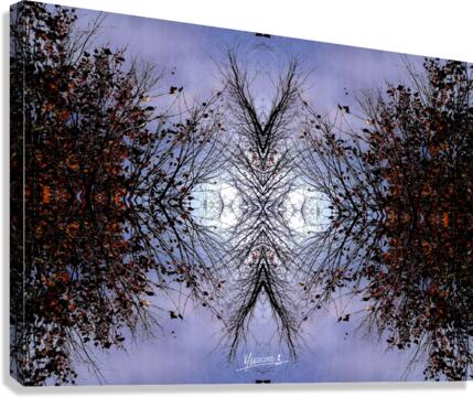 Cloud 57 Canvas Print