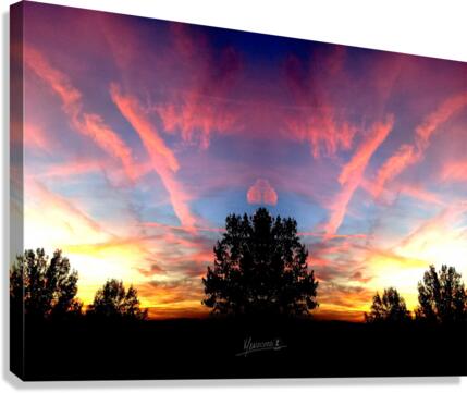 Cloud 58 Canvas Print