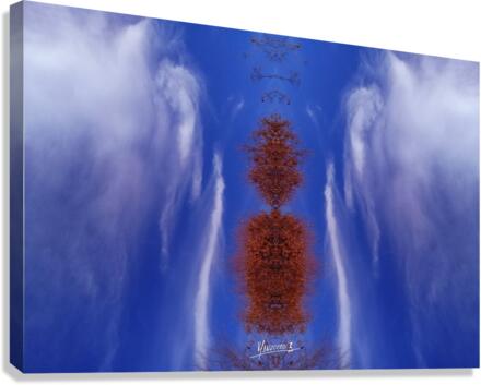 Cloudes 84 Canvas Print