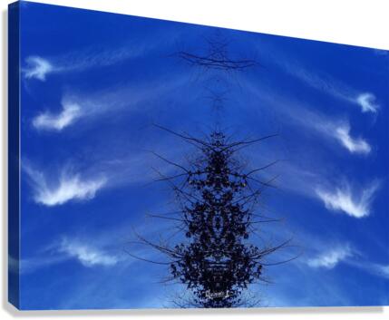 Cloudes 85 Canvas Print