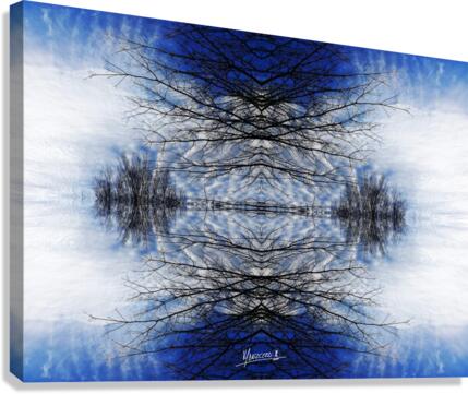 Cloudes 102 Canvas Print