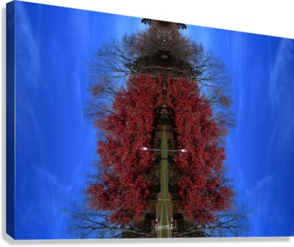 clouds 229  Canvas Print