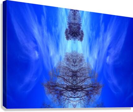 Clouds 52  Canvas Print