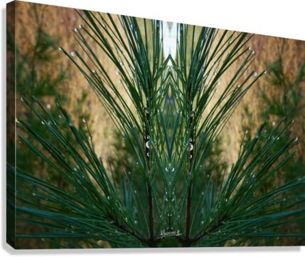 Dewgreen 3  Canvas Print