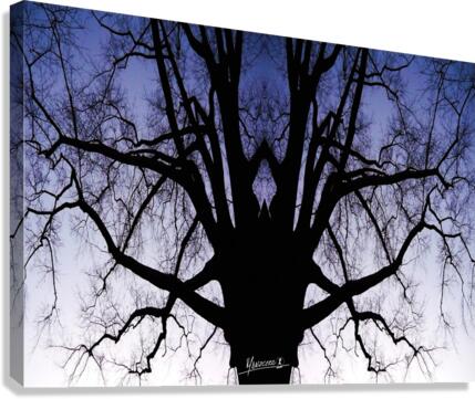 tree 19  Canvas Print