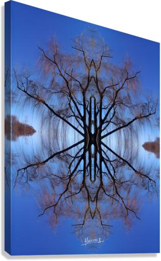Tree 2  Canvas Print
