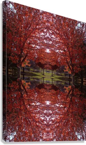 Tree 1 Canvas Print