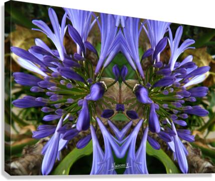 flower 3  Canvas Print
