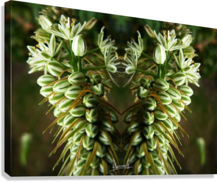 flower 9  Canvas Print