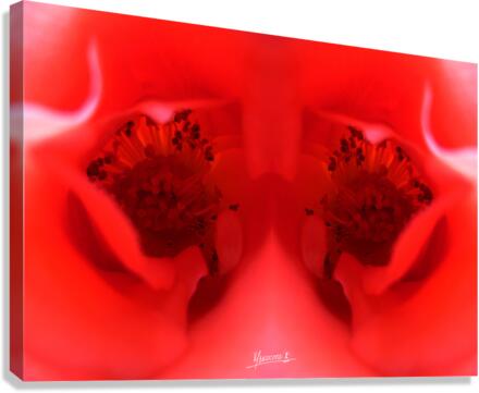 flower 19 Canvas Print