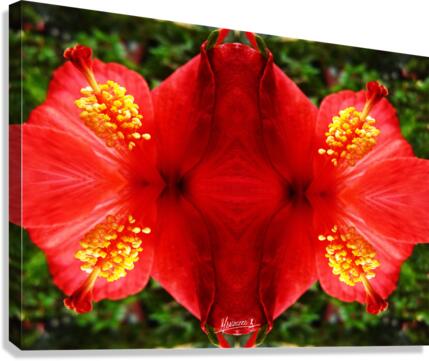 flower 20  Canvas Print
