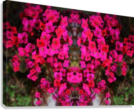 flower 29  Canvas Print