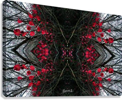 Flower 47  Canvas Print