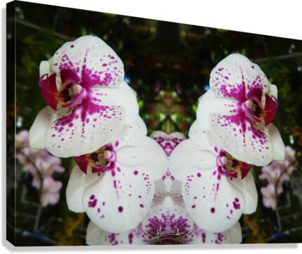 flower 62  Canvas Print