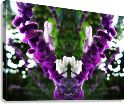 flower 89  Canvas Print