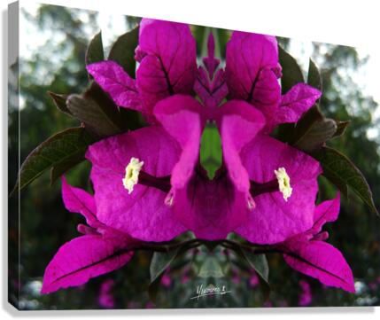 flower 90  Canvas Print
