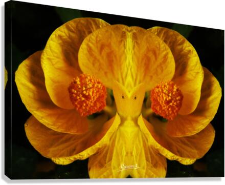 flower 91  Canvas Print