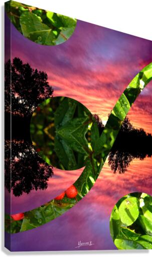 Nature 7  Canvas Print