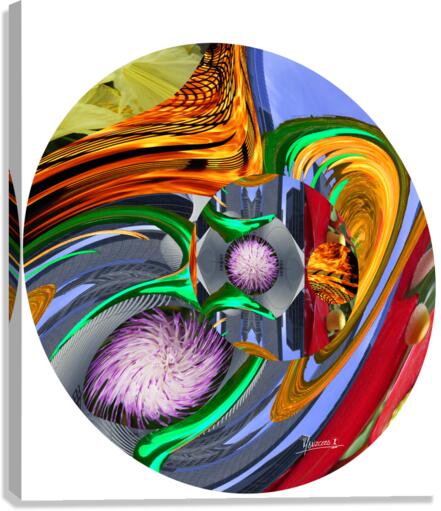 Psychedelic 16 Canvas Print