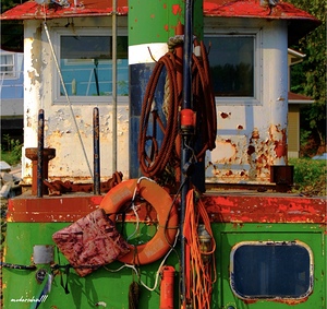 BOAT COLOR