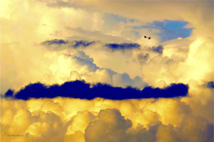 CLOUDS 2 GEESE 