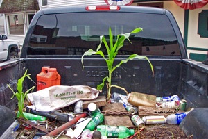 CORN GROWING WHERE 