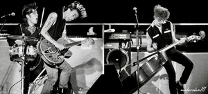 Stray Cats Trio