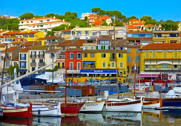 CASSIS Print