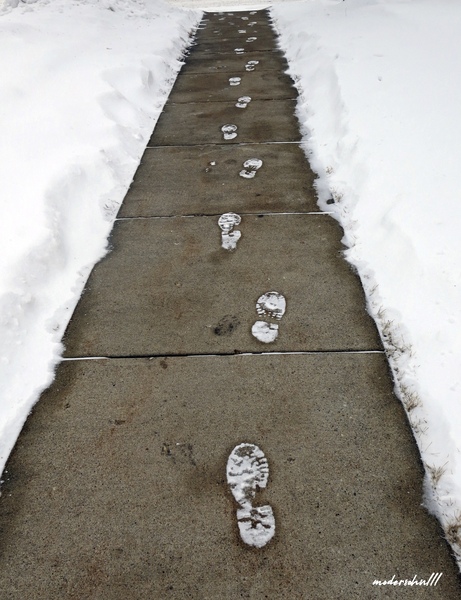 SNOWY FOOTPRINTS Print